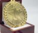 1st place gold medal in a display case