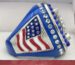 side view of a championship ring with the american flag on the side